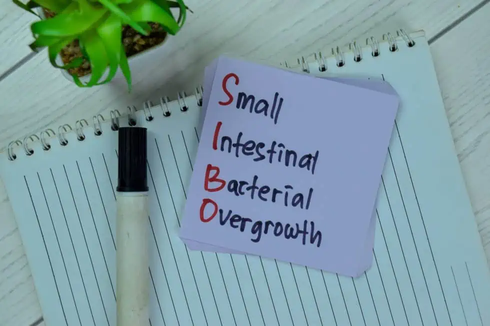 Representing the concept of small intestinal bacterial overgrowth (SIBO)